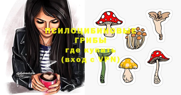 дживик Вязьма