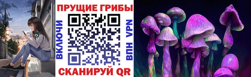 продажа наркотиков  MEGA зеркало  Галлюциногенные грибы Cubensis  Красноярск 