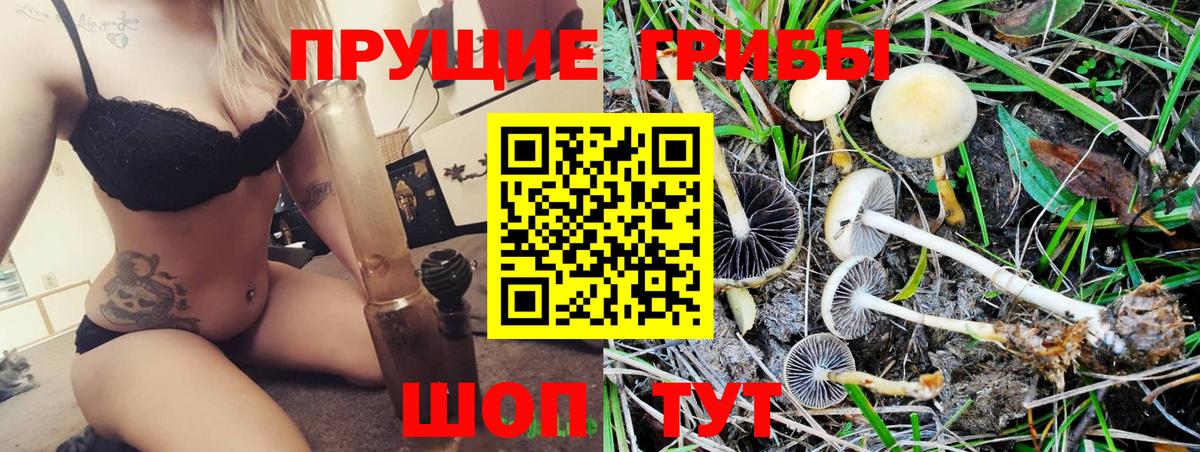 Псилоцибиновые грибы Psilocybine cubensis  Вход с VPN  Красноярск  Галлюциногенные грибы GOLDEN TEACHER 